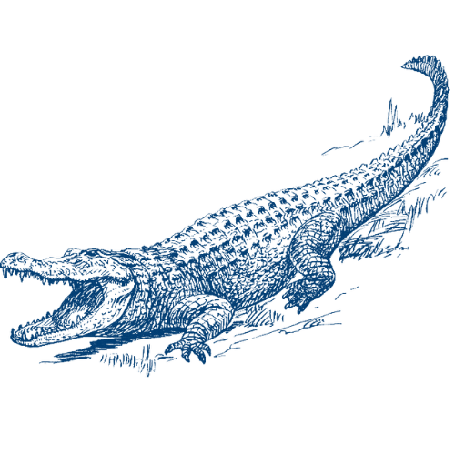 Cocodrilo
